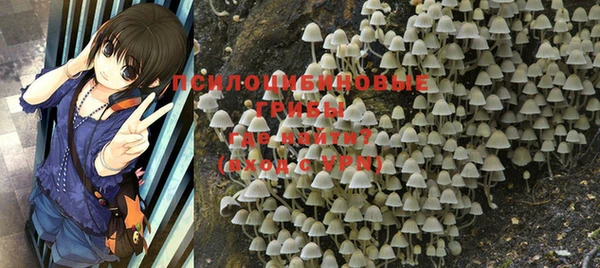 MESCALINE Майский