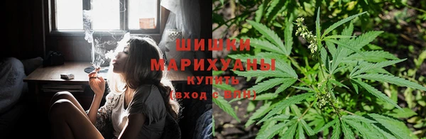 гашишное масло Липки