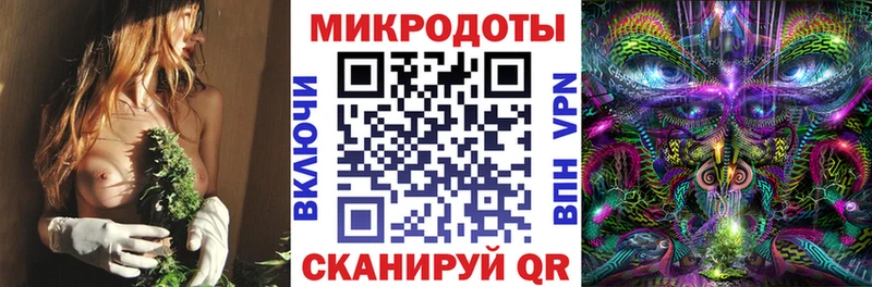 Псилоцибиновые грибы мицелий  купить закладку  Чухлома 